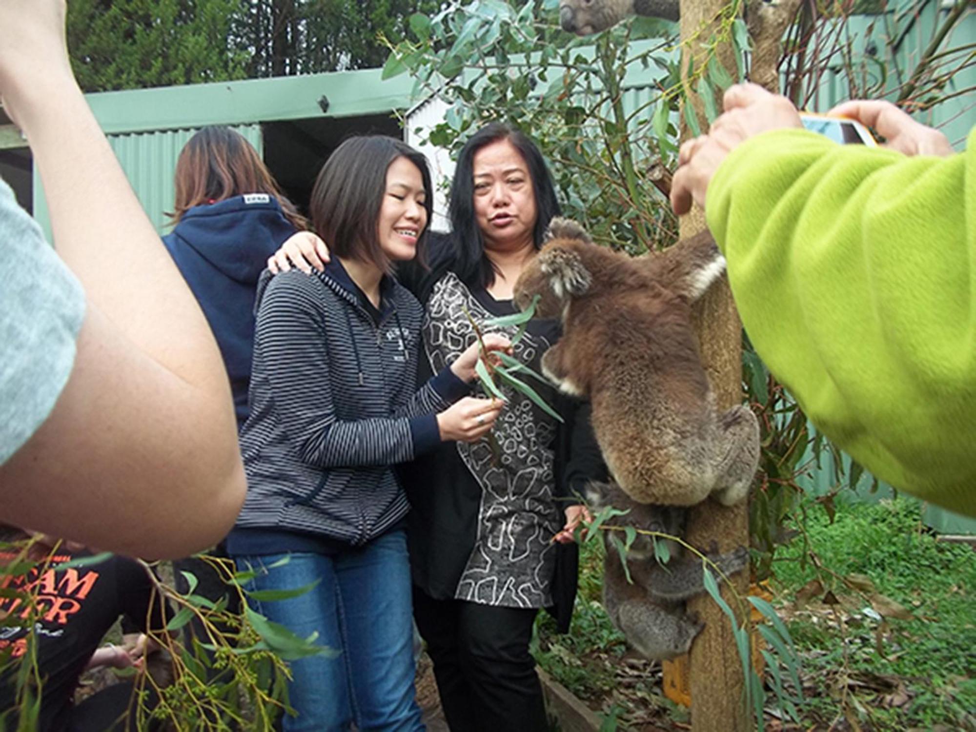 Fauna Australia Wildlife Retreat Lavers Hill Kültér fotó