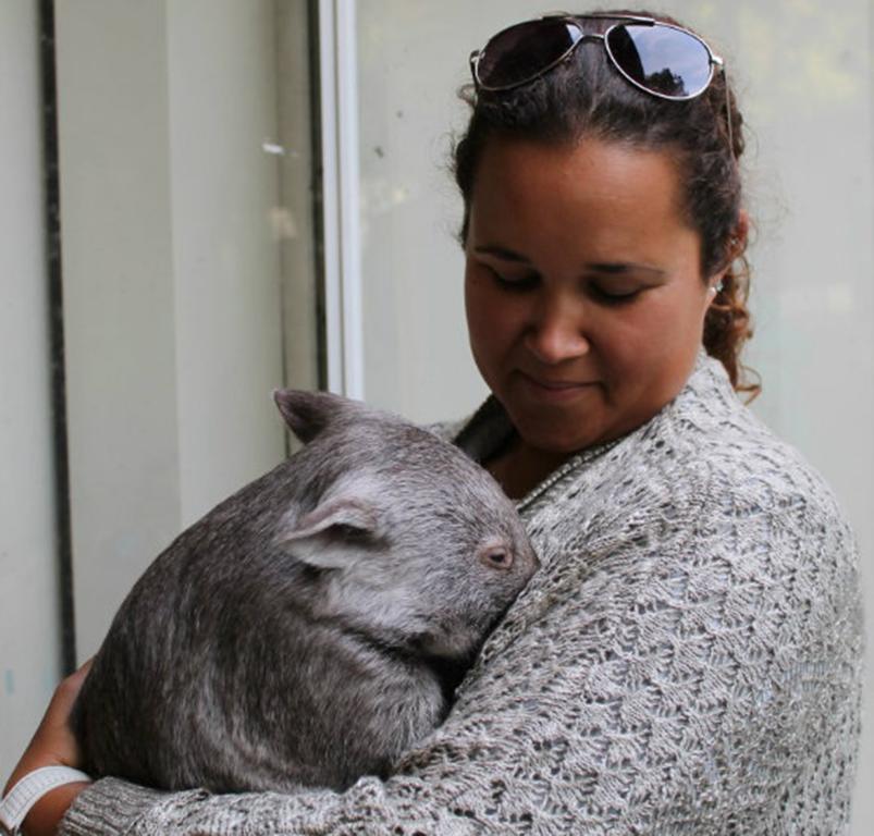 Fauna Australia Wildlife Retreat Lavers Hill Kültér fotó