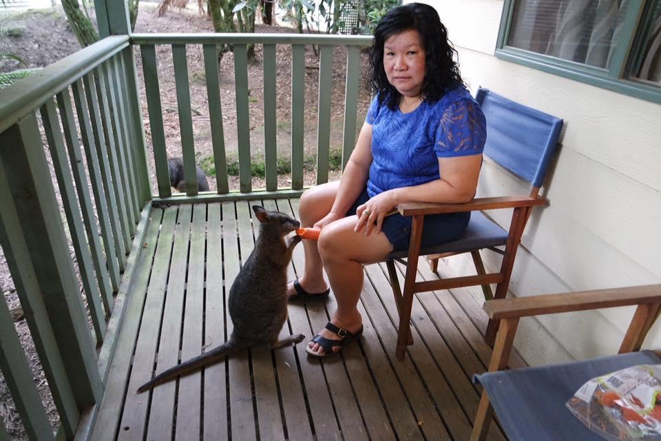 Fauna Australia Wildlife Retreat Lavers Hill Kültér fotó