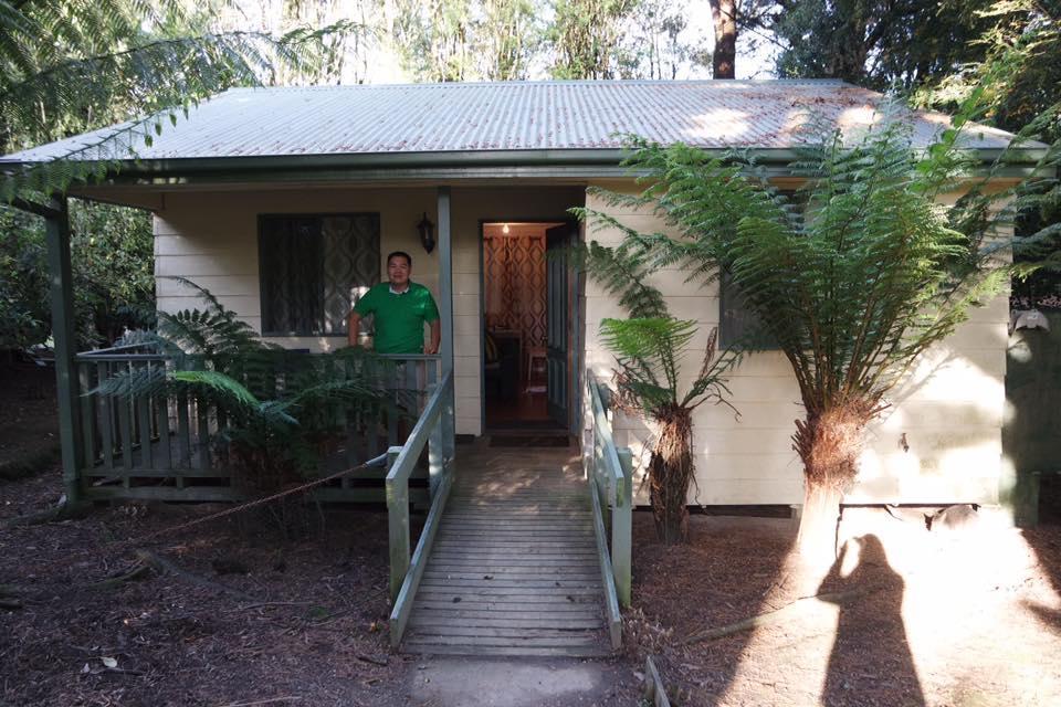 Fauna Australia Wildlife Retreat Lavers Hill Kültér fotó