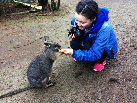 Fauna Australia Wildlife Retreat Lavers Hill Kültér fotó