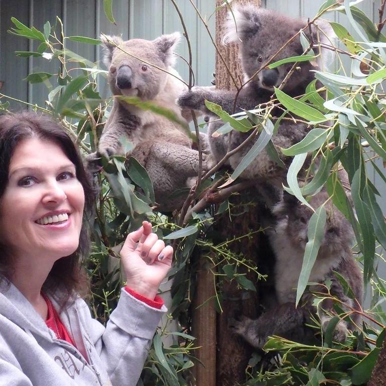 Fauna Australia Wildlife Retreat Lavers Hill Kültér fotó