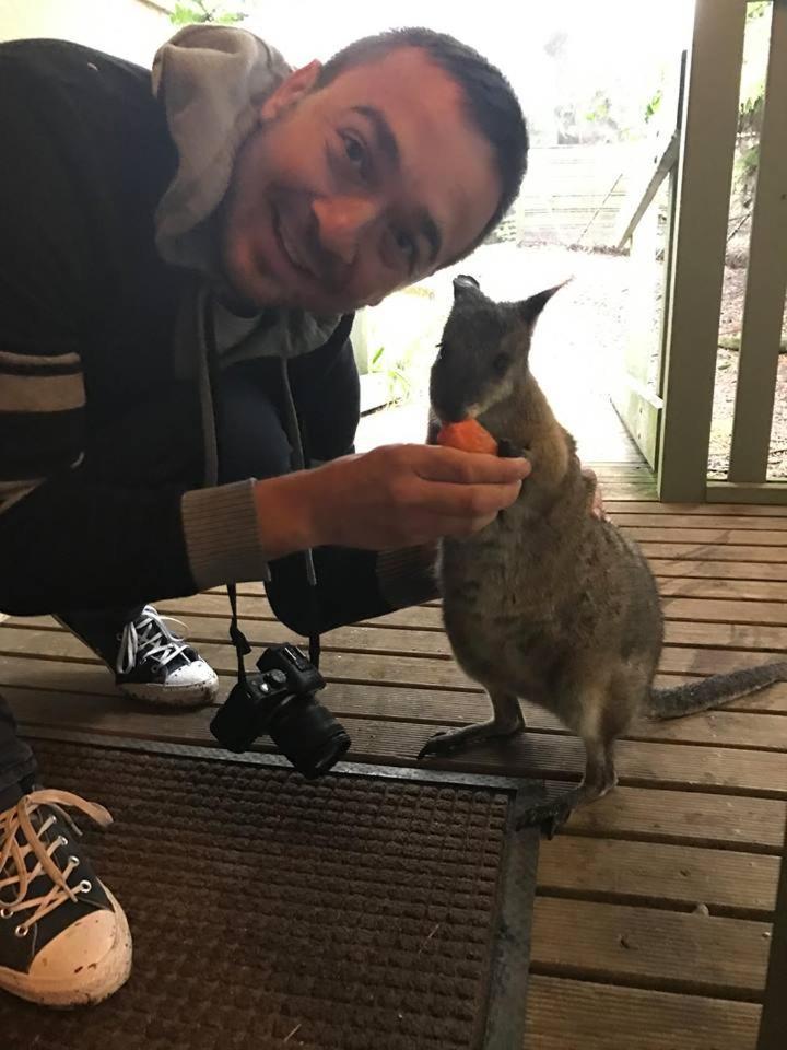 Fauna Australia Wildlife Retreat Lavers Hill Kültér fotó